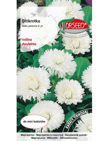 STOKROTKA BIAŁA EXCELSA WEISS  0,3g