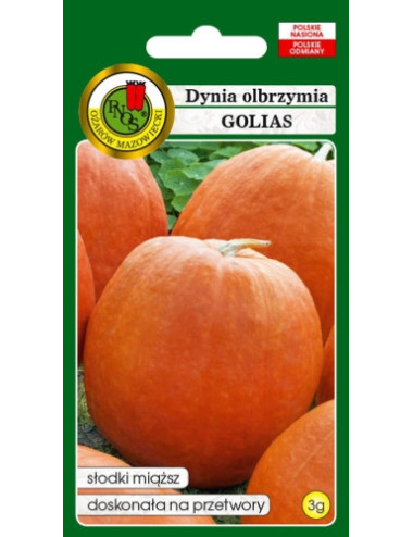 DYNIA OLBRZYMIA GOLIAS 3g