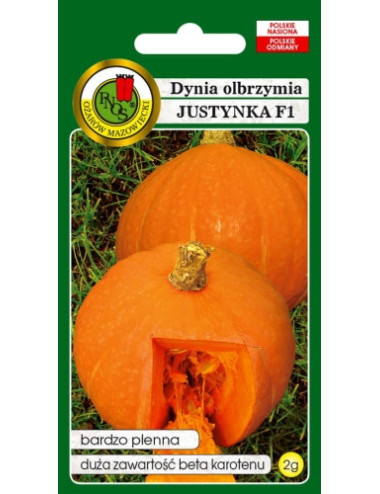 DYNIA OLBRZYMIA JUSTYNKA F1 2g