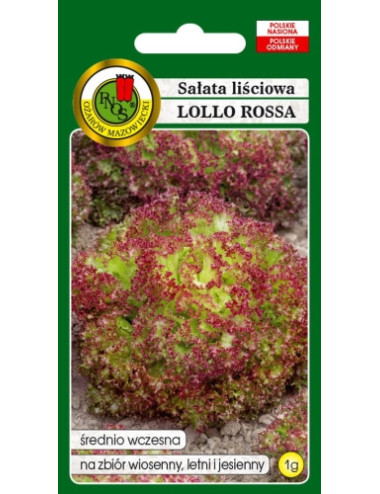 SAŁATA LIŚCIOWA LOLLO ROSSA 1g