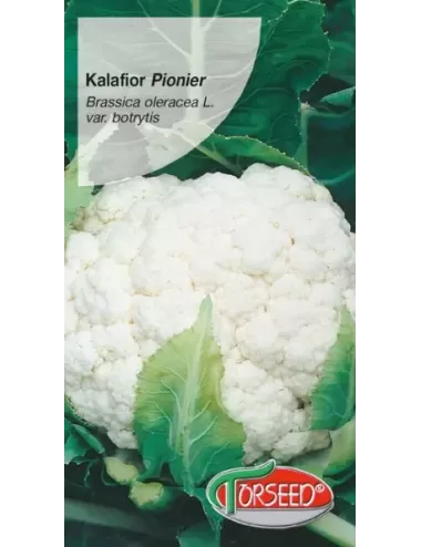 KALAFIOR PIONIER 1g