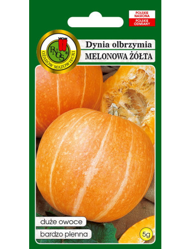 Dynia olbrzymia melonowa żółta pnos