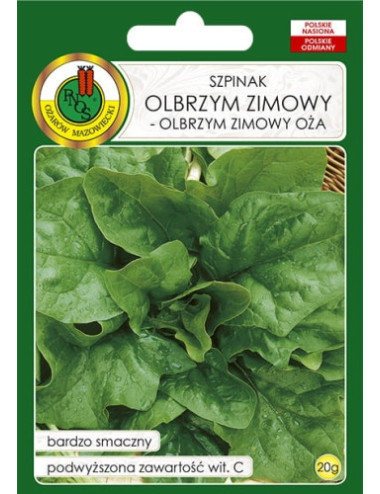 SZPINAK OLBRZYM ZIMOWY 20g