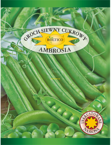 Groch siewny cukrowy Ambrosia 40g