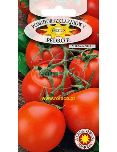 Pomidor g. Pomidor szklarniowyPedro F1 0,1g 