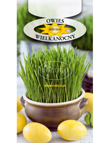 Owies wielkanocny  20g ROL