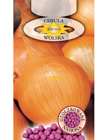 CEBULA WOLSKA ok. 200 nasion OTOCZKOWANE