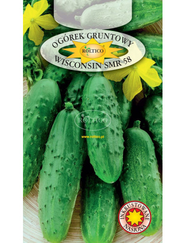 Ogórek gruntowy Wisconsin SMR 58 5g ROL