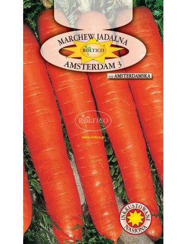 Marchew Amsterdam 3 5g